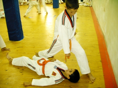 taekwondo